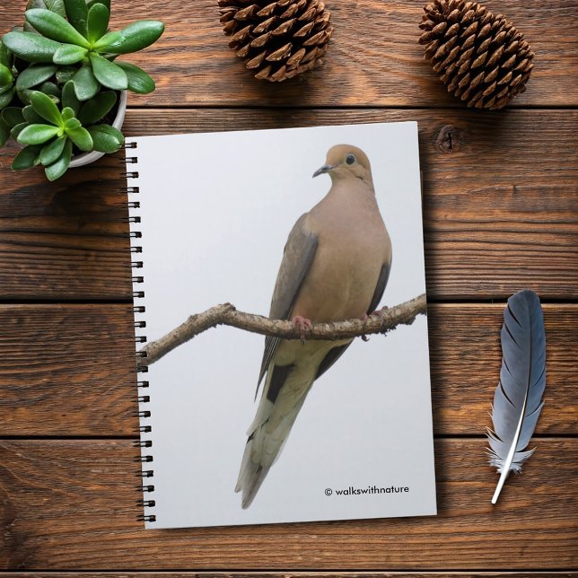 Carnet Portrait d'une colombe en deuil (Portrait of a Mourning Dove Journal Cover Photo)