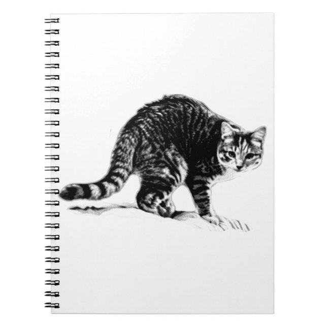 Carnet Portrait Monochrome Tabby Cat (Devant)