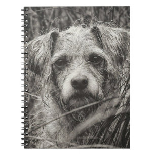 Carnet Portrait noir et blanc mignon et chiot photo