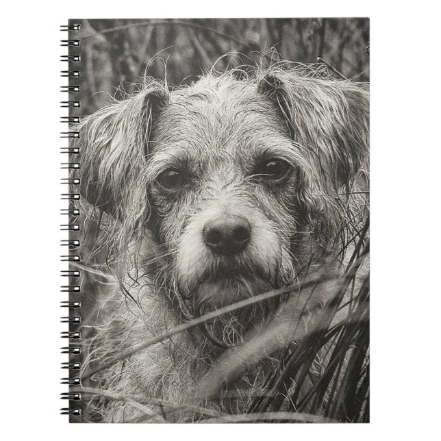 Carnet Portrait noir et blanc mignon et chiot photo (Devant)