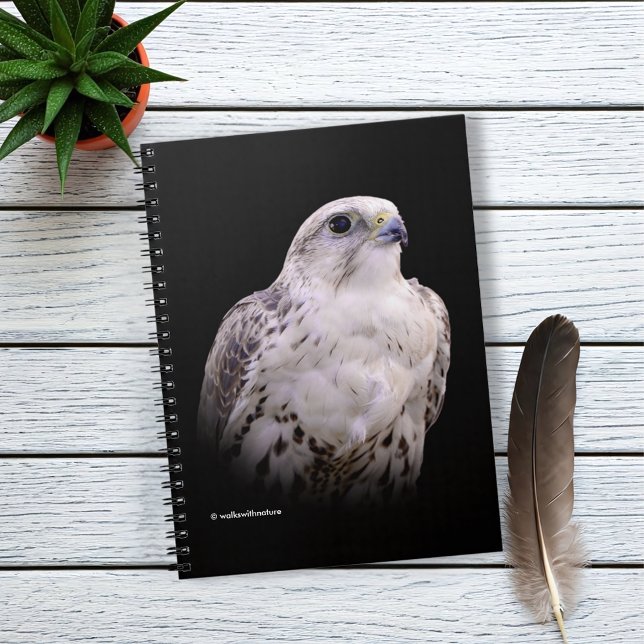Carnet Portrait signé d'un faucon de Saker curieux (Vignette Profile of a Saker Falcon Journal Cover Photo)