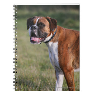 Carnet Position de chien de boxeur