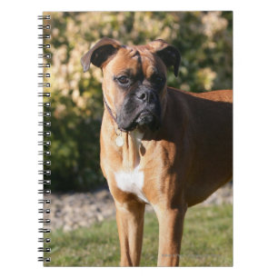 Carnet Position de chien de boxeur de faon