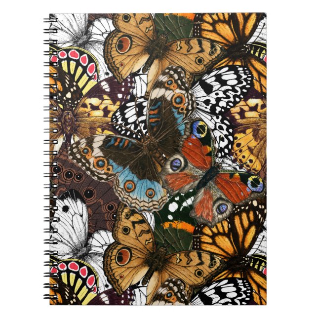 Carnet Poster de animal. Ailes papillons. (Devant)