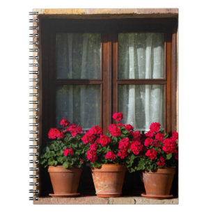 Carnet Pots de fleurs de fenêtre dans un village