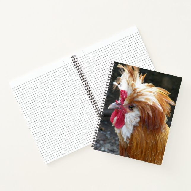 Carnet Poule polonaise rouge et blanche (Intérieur)