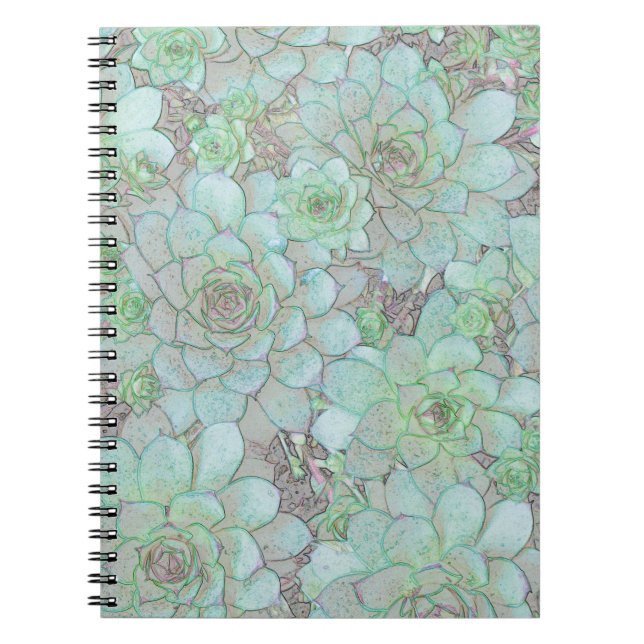 Carnet Poules et pousses (Devant)