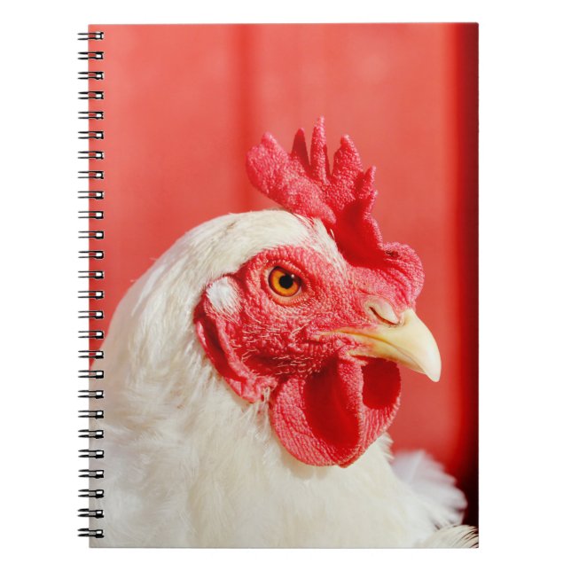 Carnet Poulet de ferme (Devant)