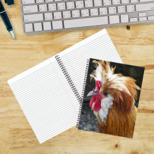 Carnet Poulet polonais rouge et blanc