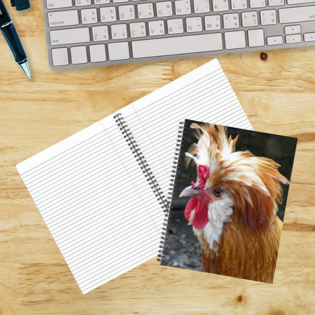 Carnet Poulet polonais rouge et blanc (In Situ)