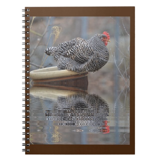 Carnet Poulet Sur Flowerpot (Devant)