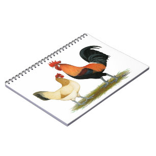 Carnet Poulets de Penedesenca