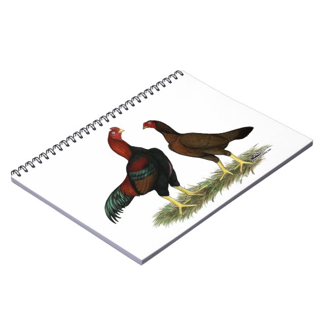 Carnet Poulets rouges noirs Aseel (Côté gauche)