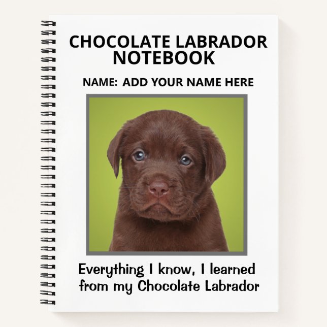 Carnet pour les amateurs de labradors au chocolat (Devant)