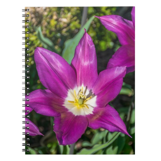 Carnet pourpre et jaune de fleurs (Devant)