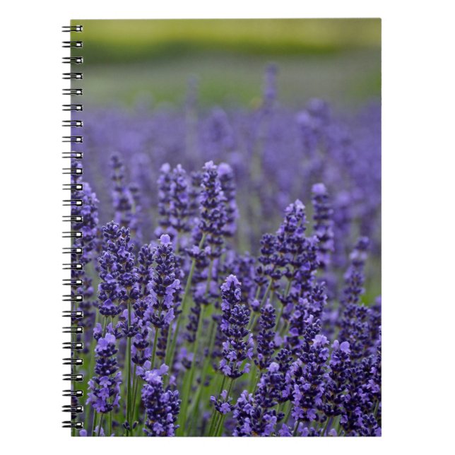 Carnet prairie de lavande violette (Devant)