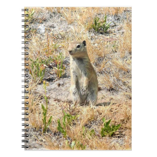 Carnet Prairie Dog in Yosemite (Devant)