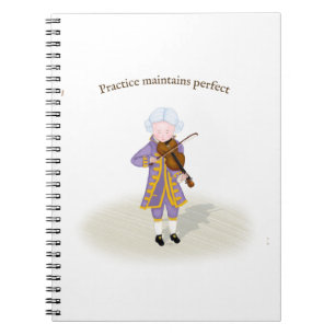Carnet Pratique Conserve Le Parfait Jeu De Violon Mozart