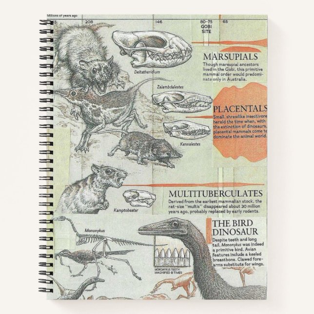 Carnet Préhistorique (Devant)