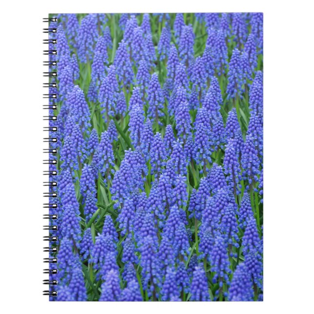 Carnet Pretty blue muscari flowers (Devant)