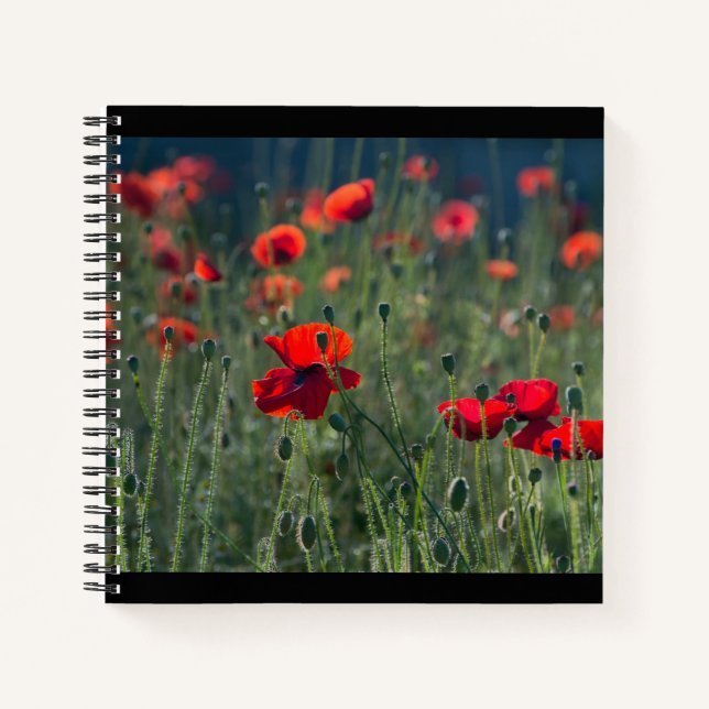 Carnet Pretty Poppies in Wild Meadow Photo (Devant)