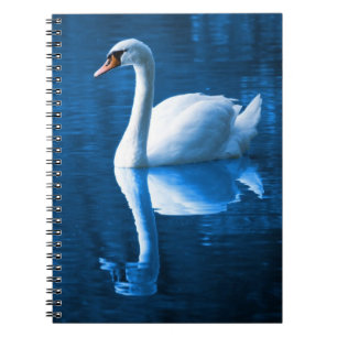 Carnet Pretty white swan floating on blue lake