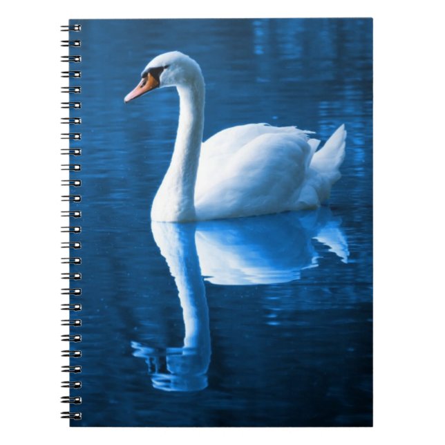 Carnet Pretty white swan floating on blue lake (Devant)