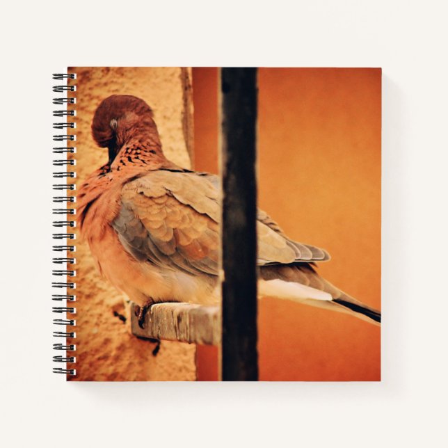 Carnet Prévenir la colombe (Devant)