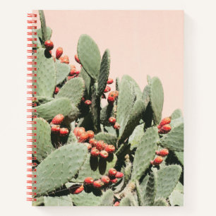 Carnet Prickley Pear Cactus