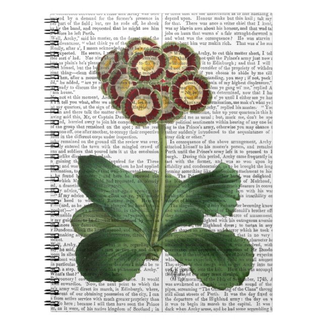 Carnet Primula Aurium Rouge (Devant)