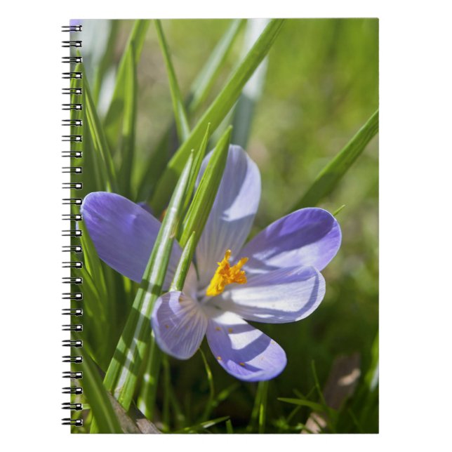 Carnet Printemps (Devant)