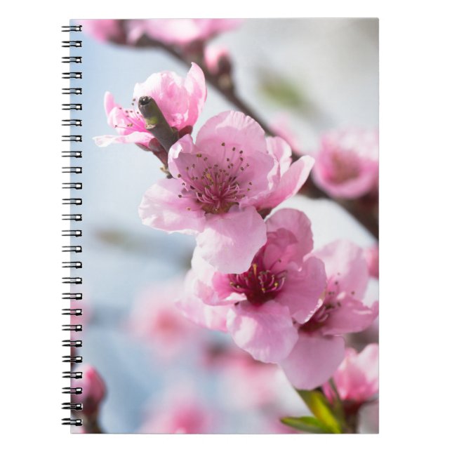 Carnet Printemps (Devant)