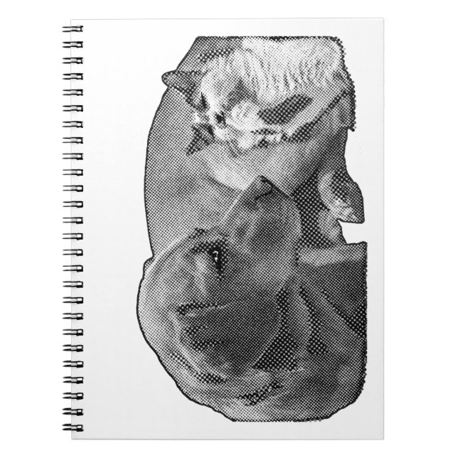 Carnet Procès-verbaux du coin de la paix (Devant)
