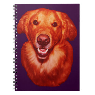 Carnet Profil avant Retriever doré rouge