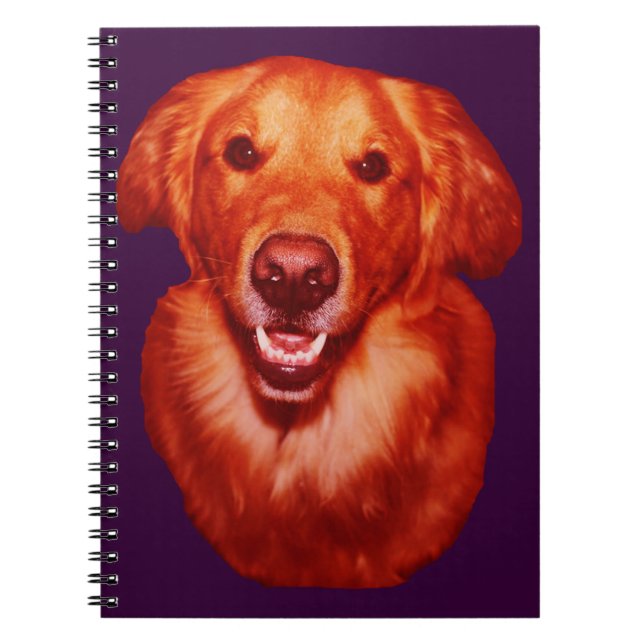 Carnet Profil avant Retriever doré rouge (Devant)