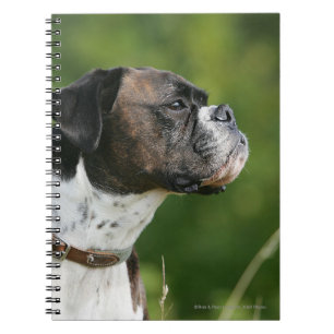 Carnet Profil de chien de boxeur