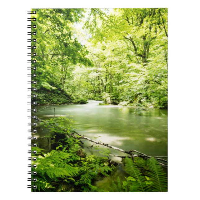 Carnet Profondément dans la forêt (Devant)