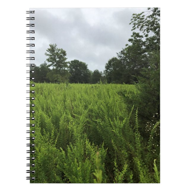 Carnet Promenade dans la forêt, Chester, Caroline du Sud  (Devant)