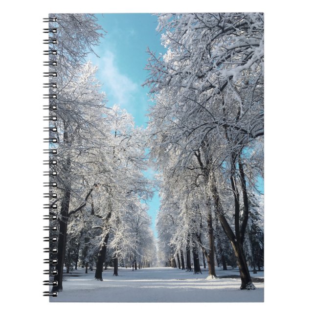 Carnet promenade d'hiver dans le parc (Devant)
