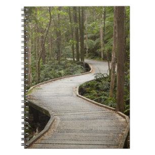 Carnet Promenade jusqu'aux chutes Nelson, Franklin - Gord