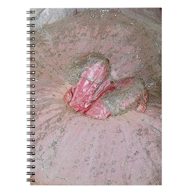 Carnet Prune de sucre (Devant)