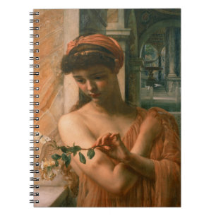 Carnet Psyché dans le Temple de l'Amour (par Edward Poynt