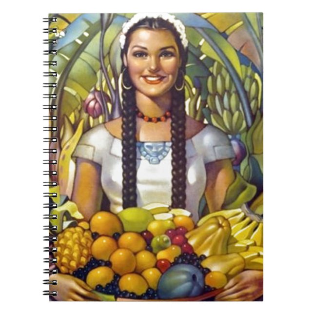 Carnet Publicité touristique vintage pour voyager au Mexi (Devant)