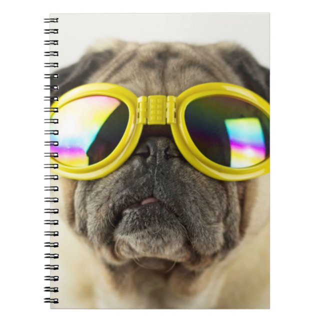 Carnet Pug with Goggles (Devant)