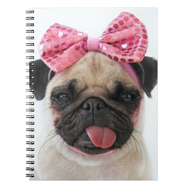 Carnet Pug with Pink Bow (Devant)
