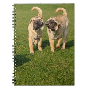 Carnet Puppies Shar Pei Jouer