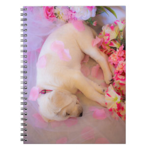 Carnet Puppy Sleepy