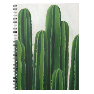 Carnet Pura Vida - Groupe Cactus