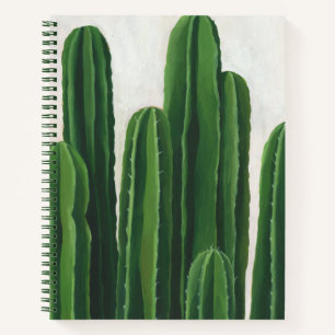 Carnet Pura Vida - Groupe Cactus