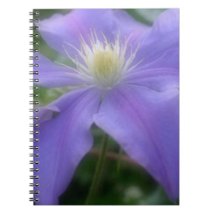 Carnet Purple Clematis Flower Nature